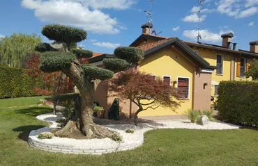 giardino