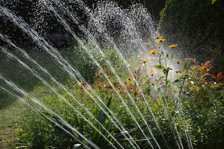 irrigazione 