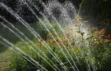 irrigazione 