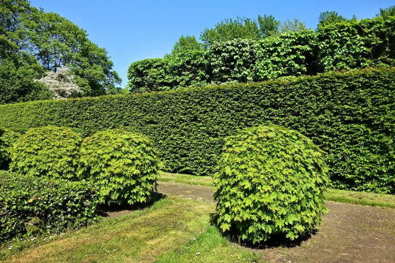 potatura